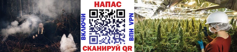 Где купить наркотики Сорочинск MEGA вход МАРИХУАНА Мефедрон Бутират Гашиш Альфа ПВП