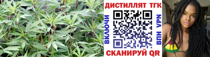 мега ТОР  купить   Сорочинск  Дистиллят ТГК THC oil 